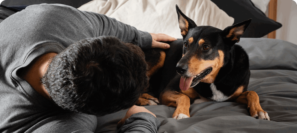Traveling With Your Pet: A Stress-Free Packing Checklist