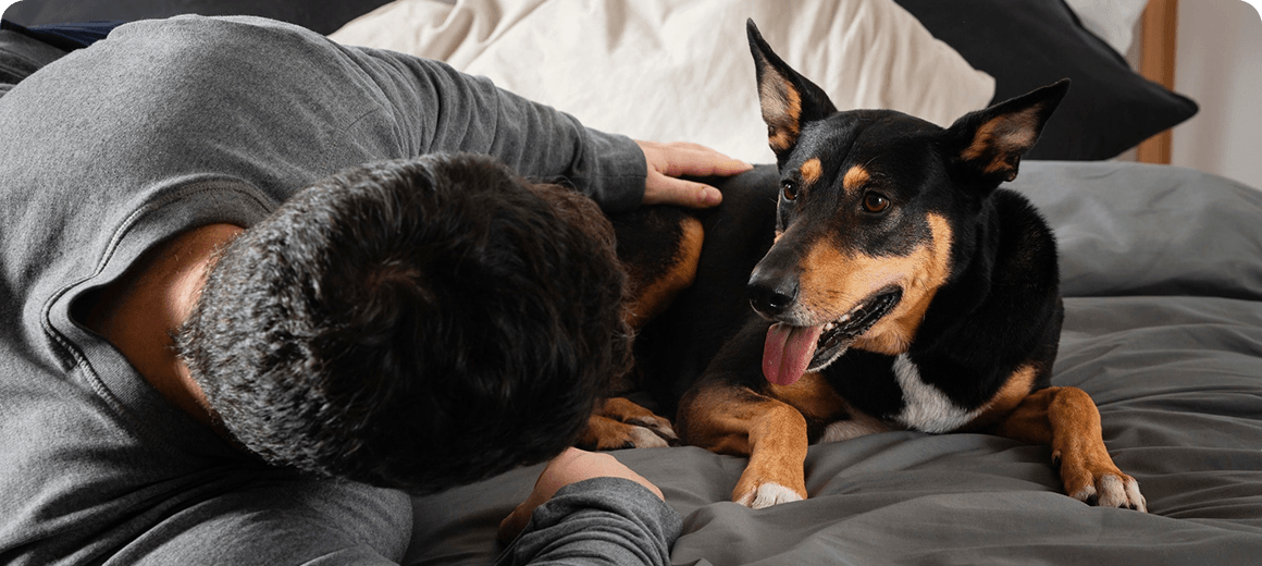 Why Positive Reinforcement Beats Punishment in Dog Training